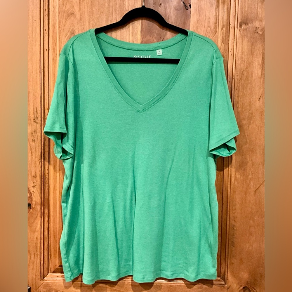 Pretty Sejour V-neck Top